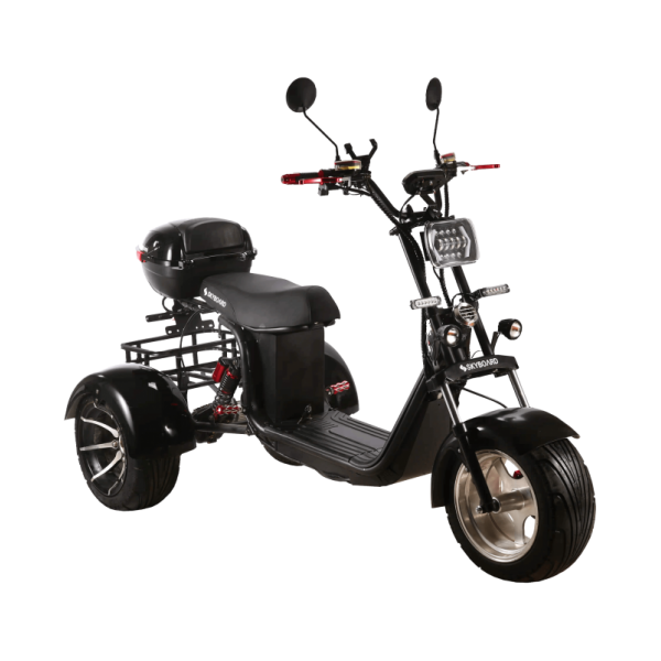 Электроскутер SKYBOARD TRIKE BR60-3000 PRO FAST