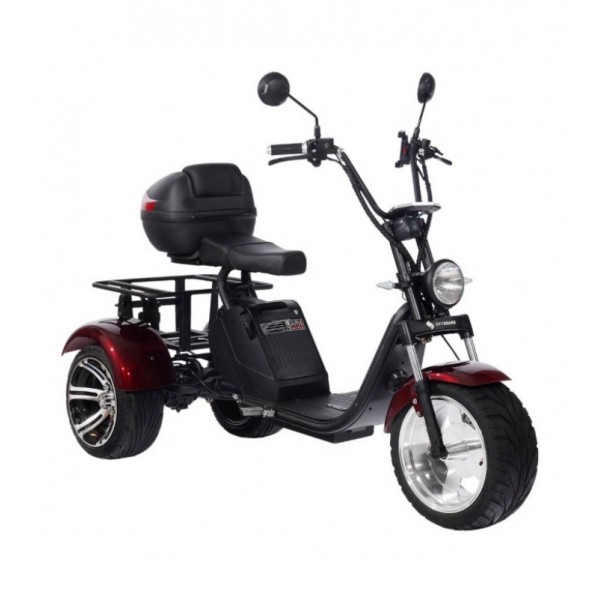 SKYBOARD TRIKE BR80