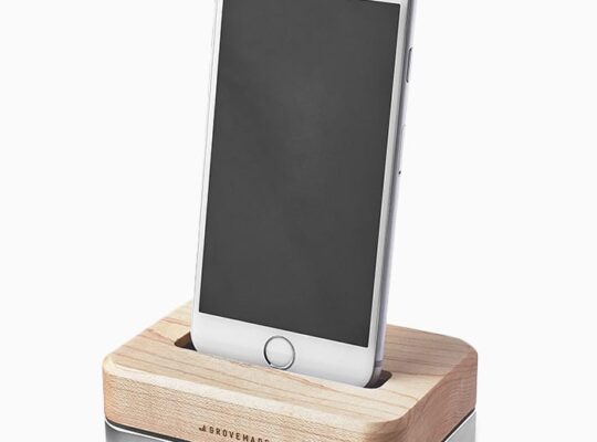 Exclusive 7-Bedroom Private Mansion in Geneva